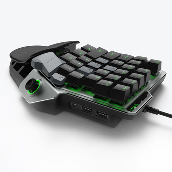 gniazda DK-02.jpg