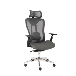 Fotel biurowy ergonomiczny Cobra EXPERT HF703GY