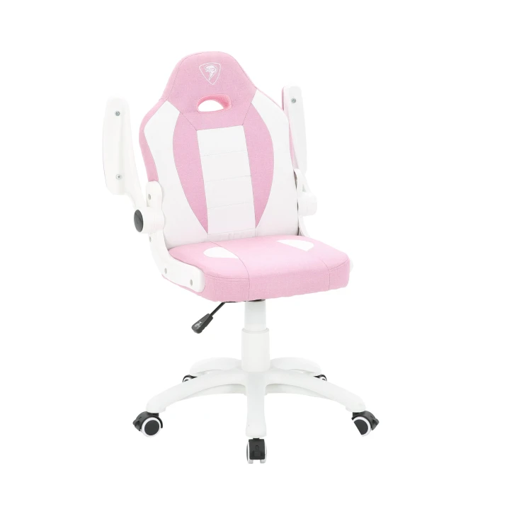 CRF2604_5.png