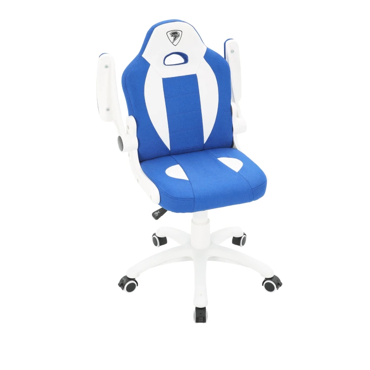 CRF2605_5.png