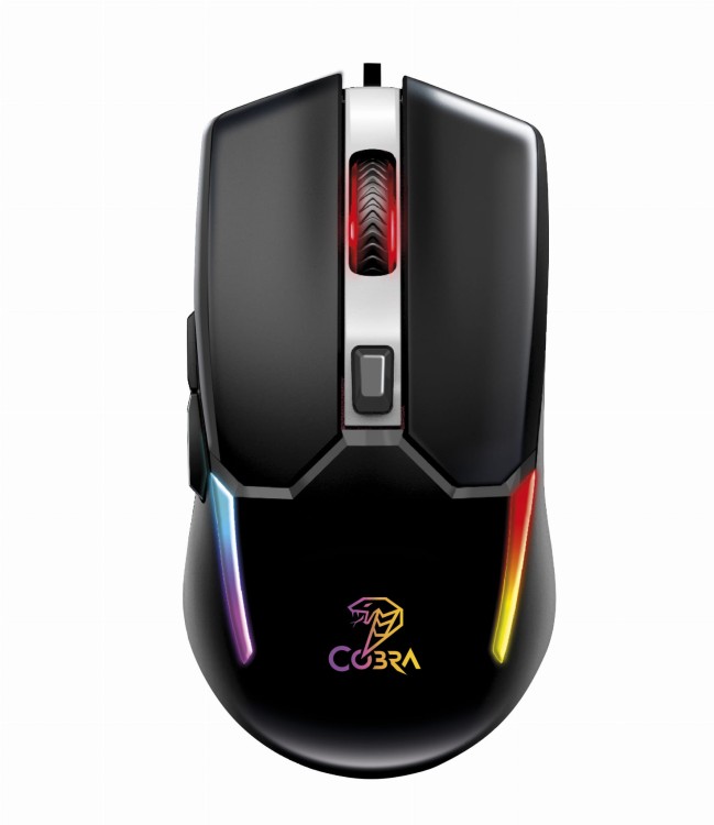 mouse_BANDIT_1.jpg