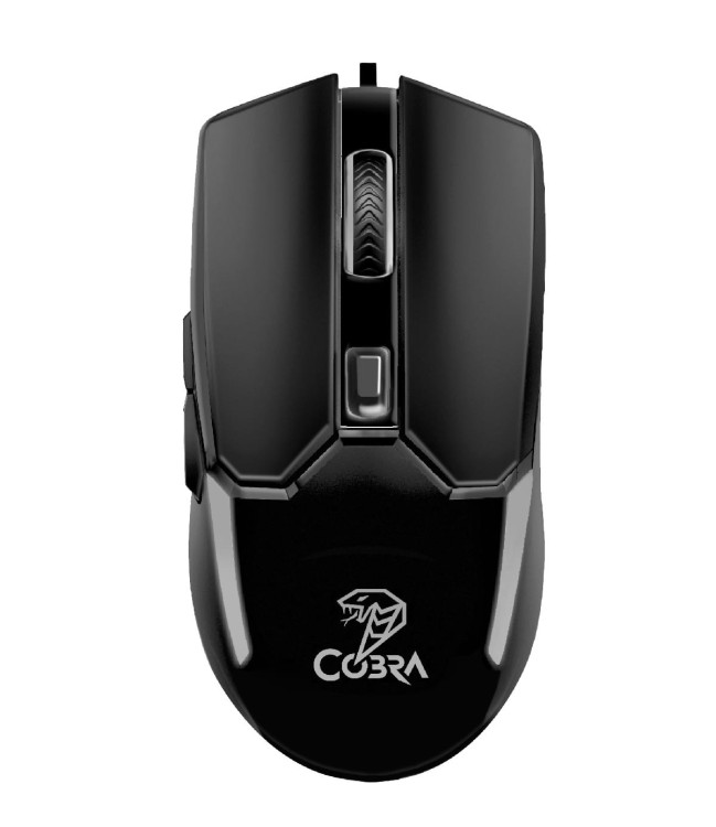 mouse_BANDIT_6.jpeg
